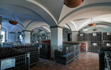 Napoli City Vision13
