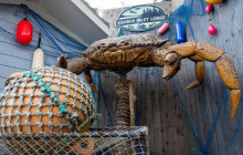 Cape Fox Tours, LLC9