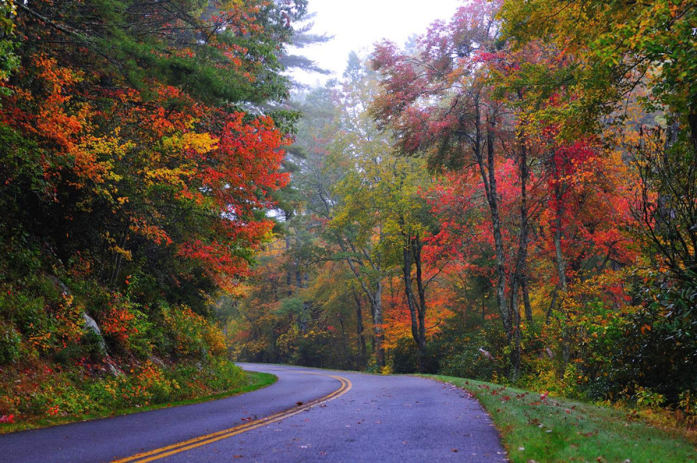 Blue Ridge Parkway GPS-Guided Audio Tour (Roanoke to Afton)