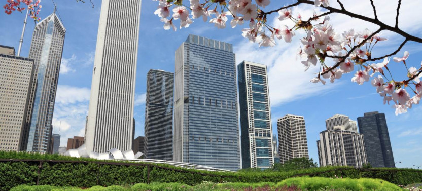 Ultimate Chicago Self-Guided Walking Audio Tour Bundle