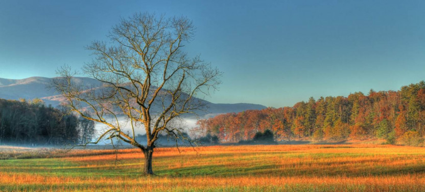 Great Smoky, Cades Cove, Shenandoah & Blue Ridge Self-Guided Driving Tours