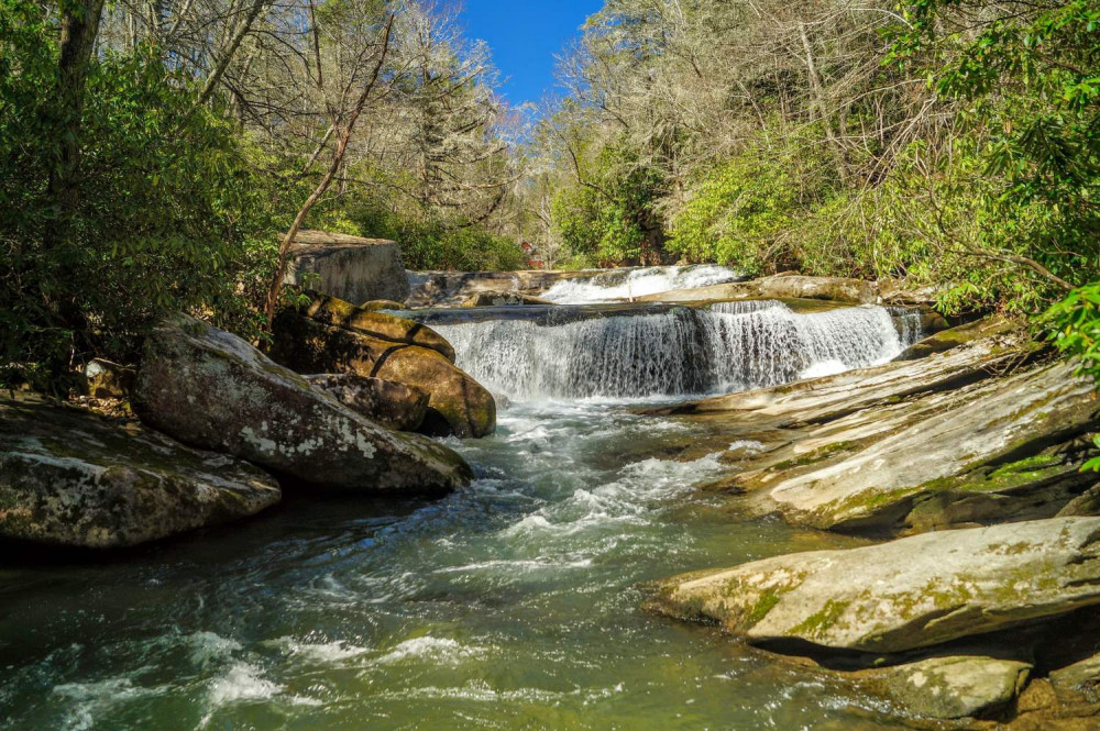 Great Smoky, Cades Cove, Shenandoah & Blue Ridge Self-Guided Driving Tours