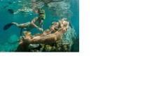 Cruz Bay Watersports4