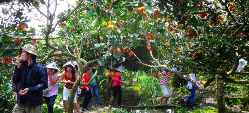 Private Tour To Mekong Delta From Phu My Port