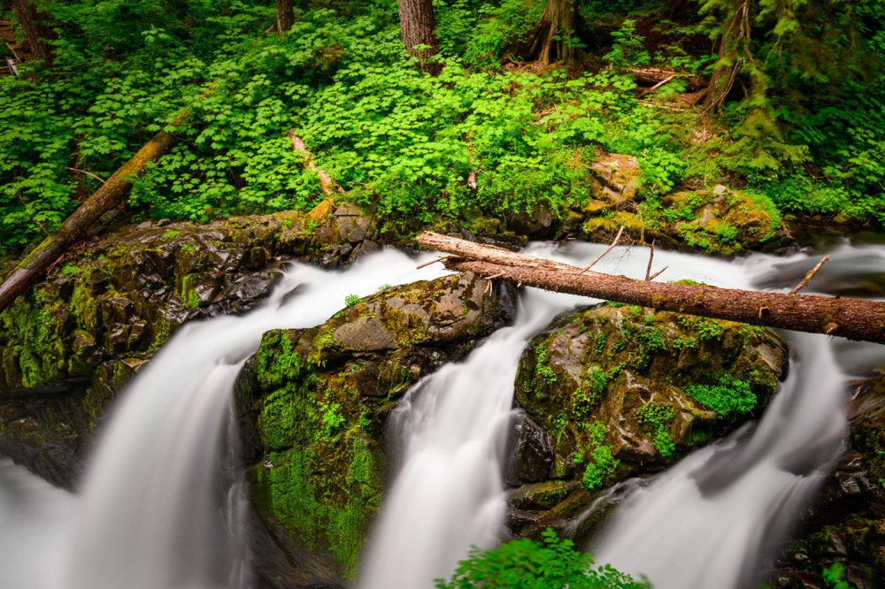 Mt Rainier, Seattle, & Olympic NP Self-Guided Audio Tours