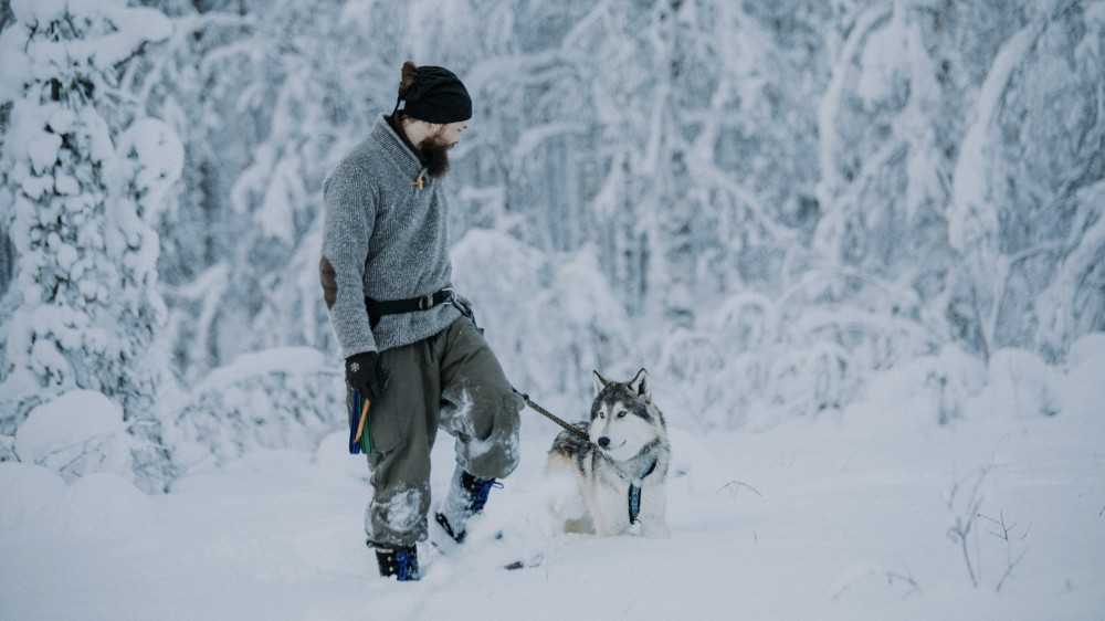 A Day at Wolfland - Private Wolfland Tour Including Lunch and Snowshoe Hike