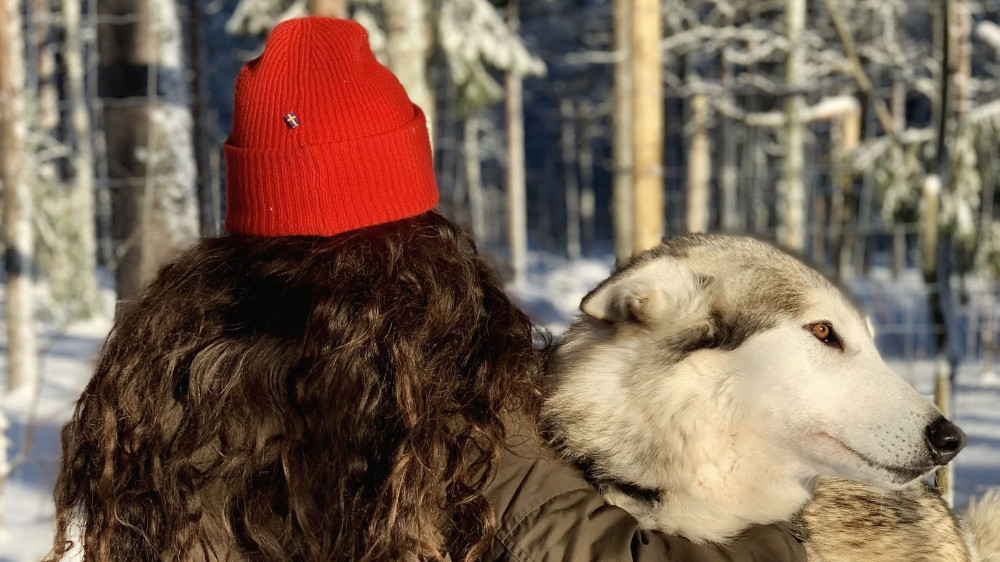 The Cuddly Wolf - Private Educational Tour Program With Arctic Wolfdogs