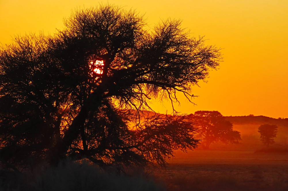 Kalahari Safaris - Desert Explorers - South Africa
