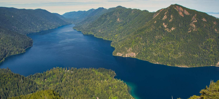 Seattle And Olympic NP Self-Guided Walking and Driving Audio Bundle Tour