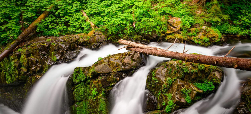 Seattle And Olympic NP Self-Guided Walking and Driving Audio Bundle Tour