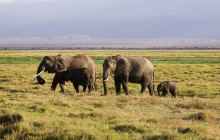 TANZANIA WILDLIFE ADVENTURES3