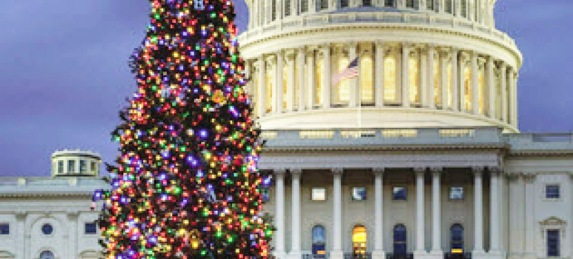 Holiday Lights Driving Tour