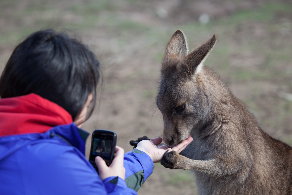 Tours Tasmania