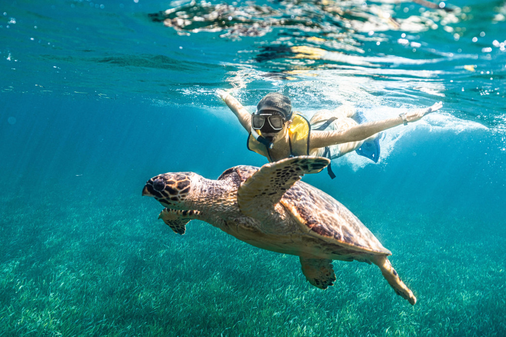 reef and shipwreck snorkeling tour in cancun