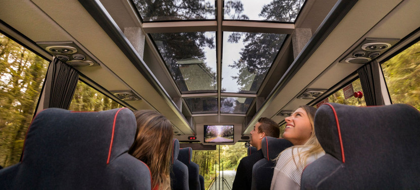 Milford Sound Coach | Cruise | Fly