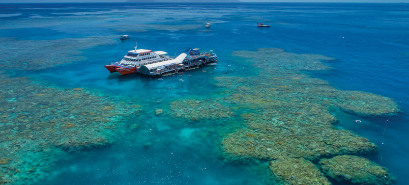 Moore Reef Full Day Tour - Lunch, Snorkeling, Slide, Bar, & More