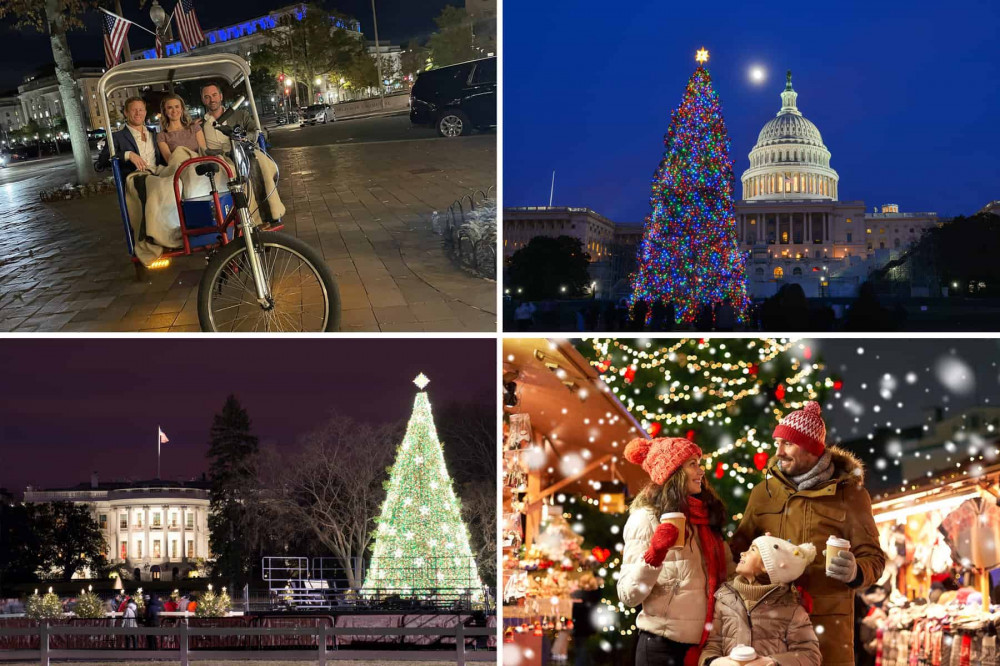 Washington DC Enchanting Holiday Lights Experience