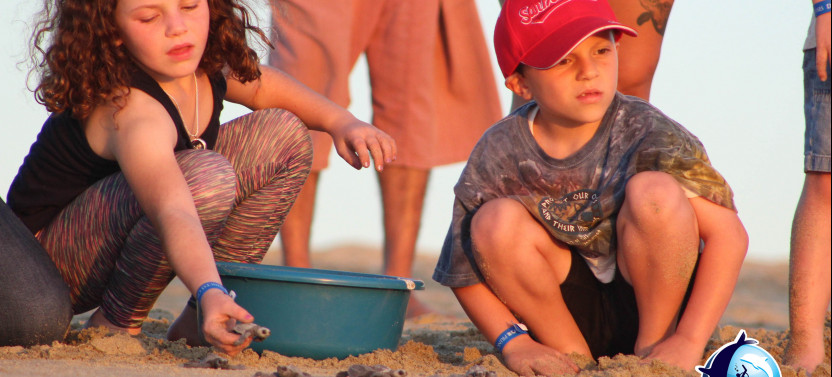 Baby Turtle Release & Sunset Conservation Tour with a Marine Biologist