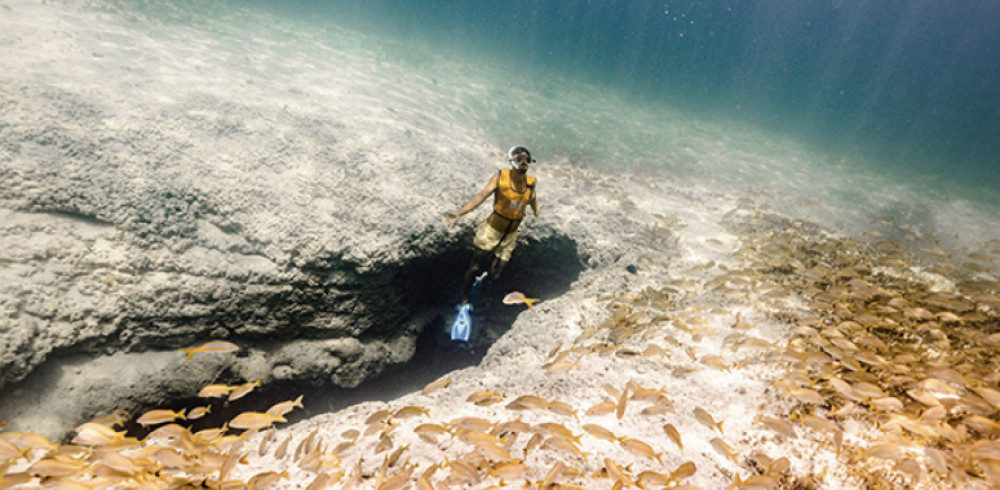 Open Waters And Virgin Reefs Snorkeling Tour In Cancun