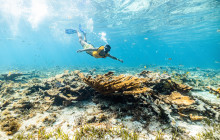 Total Snorkel Cancun3