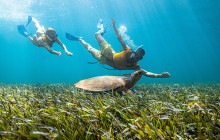 Total Snorkel Cancun5