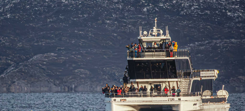 Silent Whale Watching From Tromsø