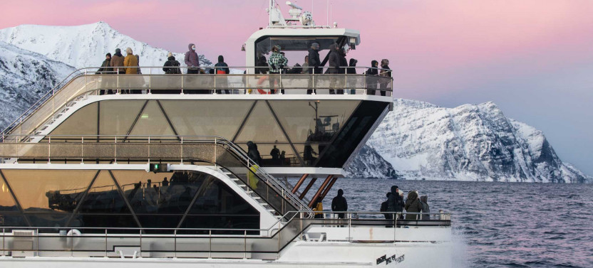 Arctic Fjord Cruise From Tromsø