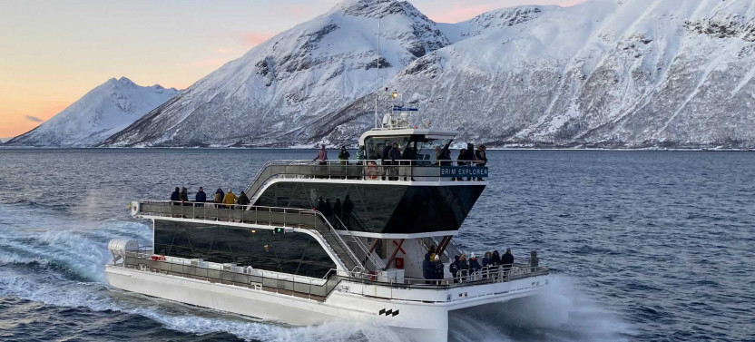 Arctic Fjord Cruise From Tromsø