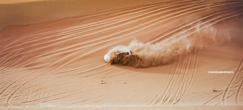 Morning Desert Safari in Abu Dhabi