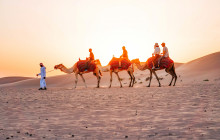 Emirates Tours and Safaris3