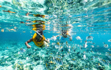 Total Snorkel Cancun3