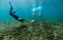 Total Snorkel Cancun2