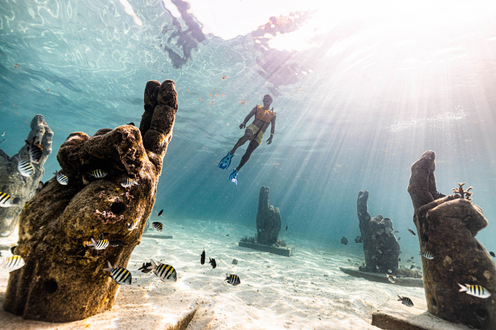 Total Snorkel Cancun