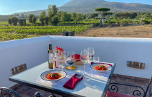 Mount Vesuvio Organic Wine Tasting & Lunch : Sorrento-Peninsula