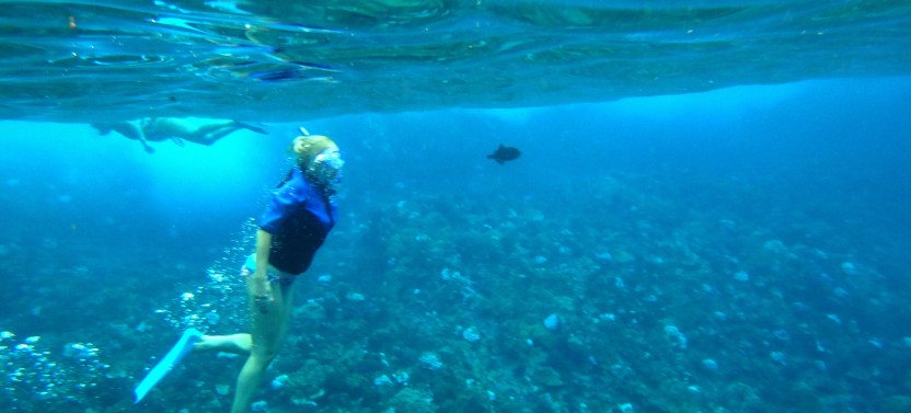 Molokini Crater and Turtle Town Snorkel & Slide