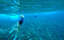 Maui Snorkeling4