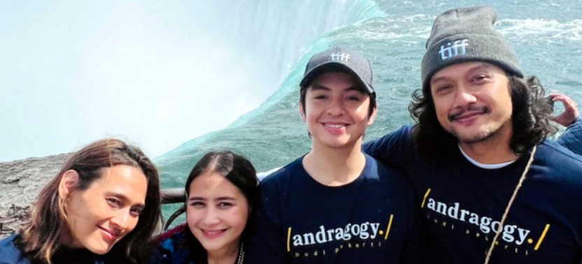 From Toronto: Niagara Falls Day Tour with Local Guide