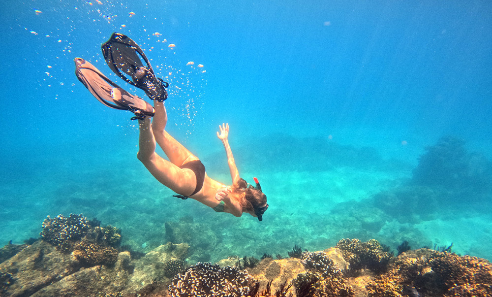 San Jose Del Cabo Snorkeling