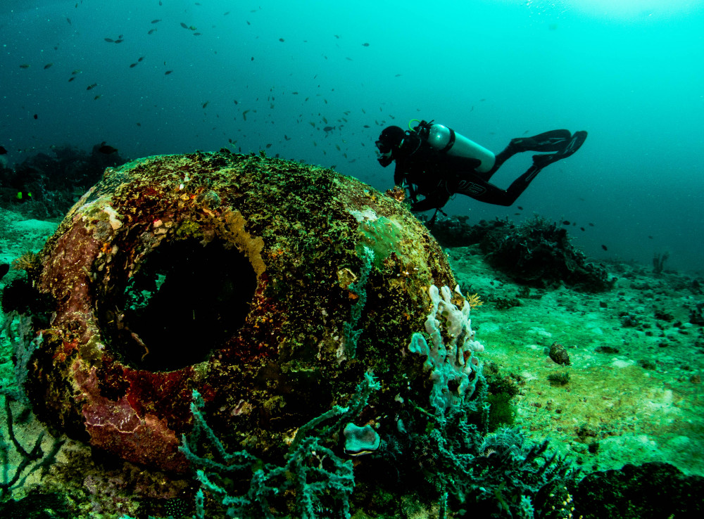 DiveGurus Diving Services Corp