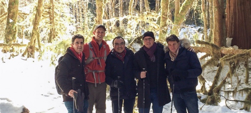 Mt. Rainier - Winter Longmire Small Group Tour
