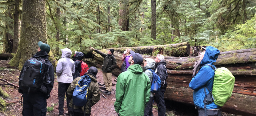 Mt. Rainier - Winter Longmire Small Group Tour