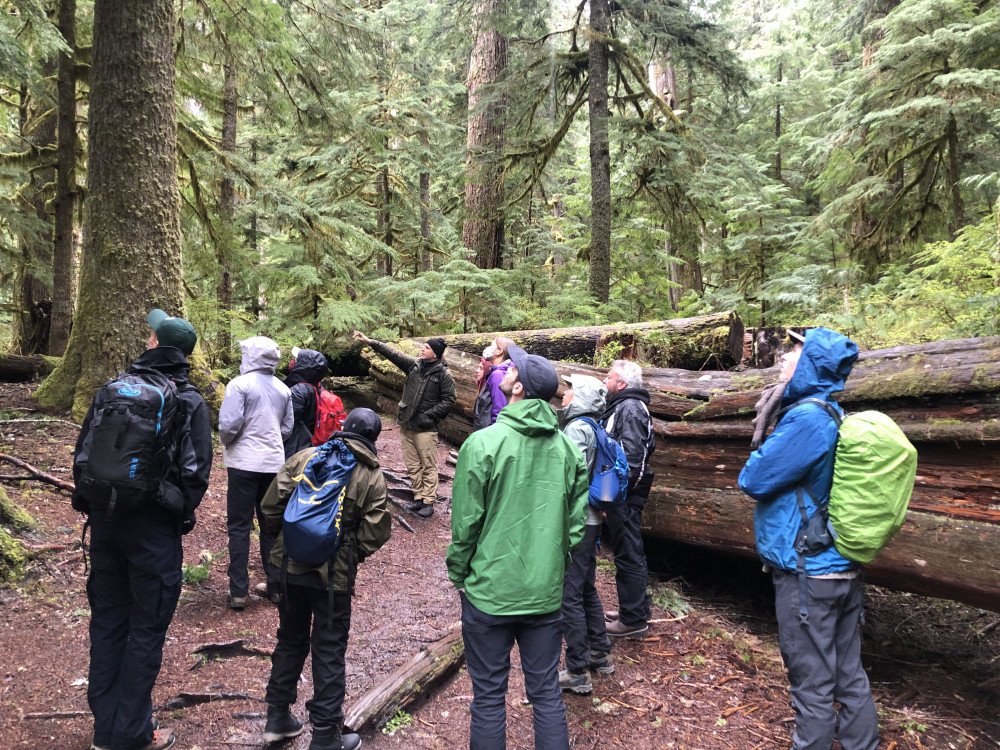 Mt. Rainier - Winter Longmire Small Group Tour