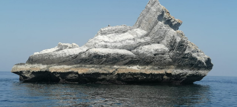3 Nights 4 Days Rubba - Cruise, Snorkeling, Meals, 4WD, Kayaking & More