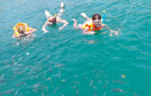 Musandam Sea Adventure Travel & Tourism2