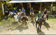 Horseback riding (from Jacó)