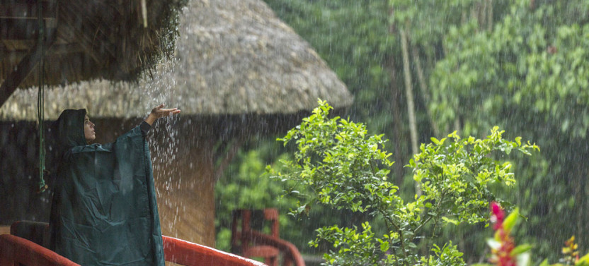 7 Days-Wildlife & Nature Tour At Yasuni National Park