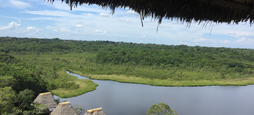 7 Days-Wildlife & Nature Tour At Yasuni National Park