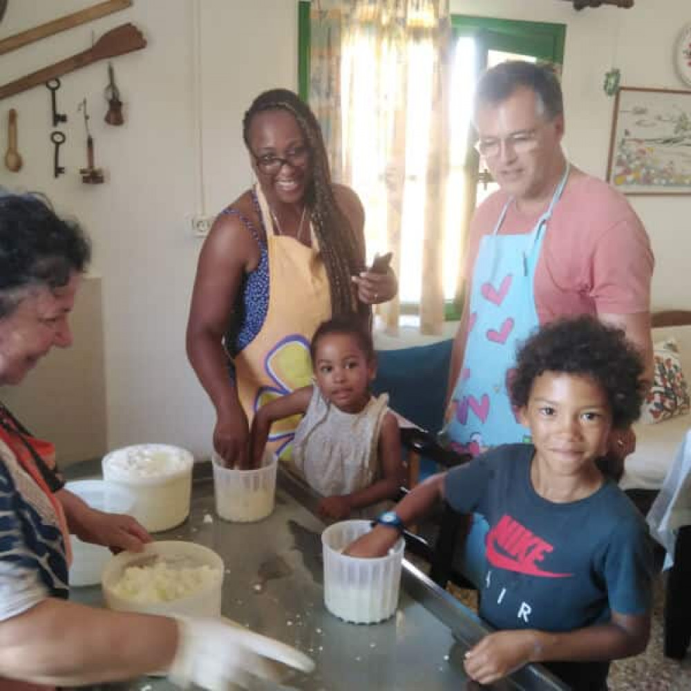 Private Dairy Farm & Honey Beekeeper Visit for Kids With Lunch