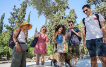 Shore Excursion - Acropolis, City Tour & Free Time in Plaka