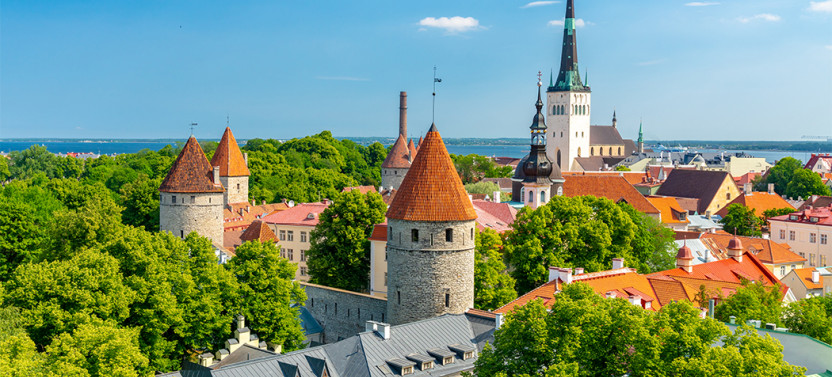 Tallinn Walking + Driving Private Tour